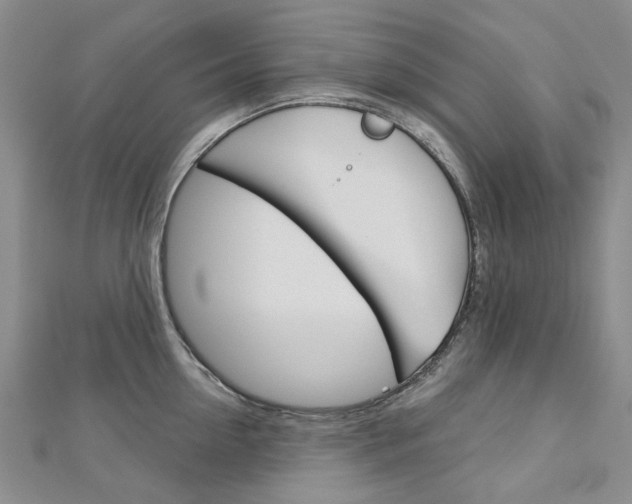 X0000113160954200909040950
