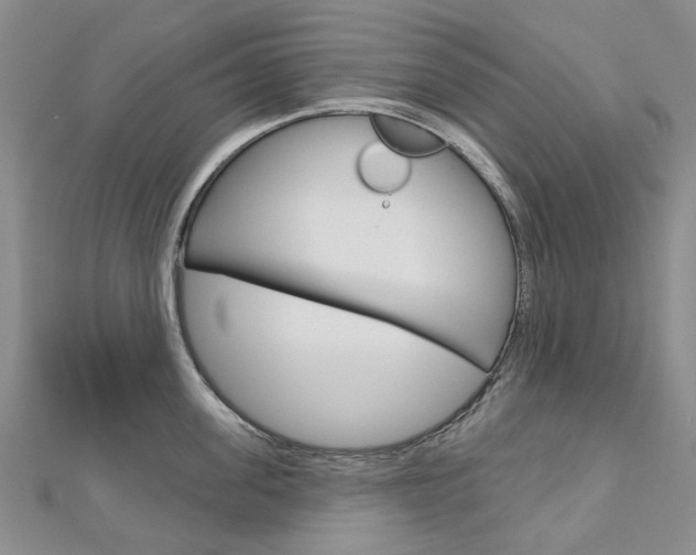 X0000113160955200909040950