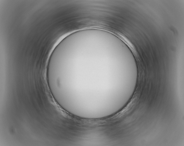 X0000113160956200909040950