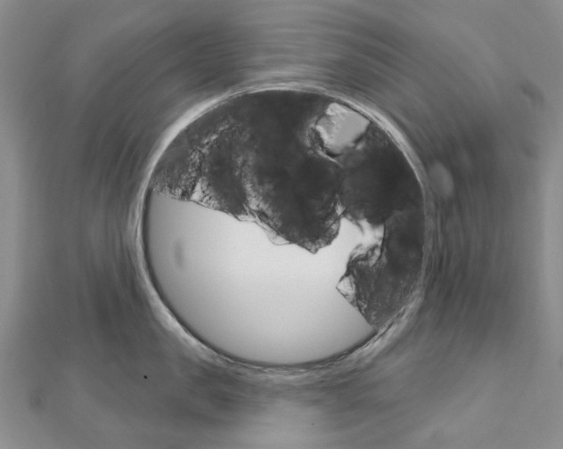 X0000113160957200909040950