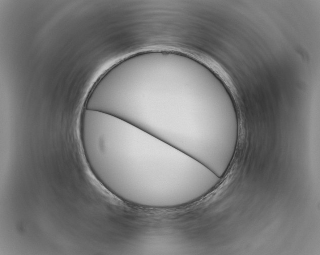 X0000113160958200909040950