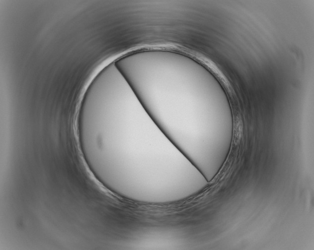 X0000113160959200909040950