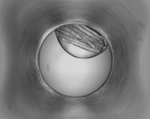 X0000113160960200909040950
