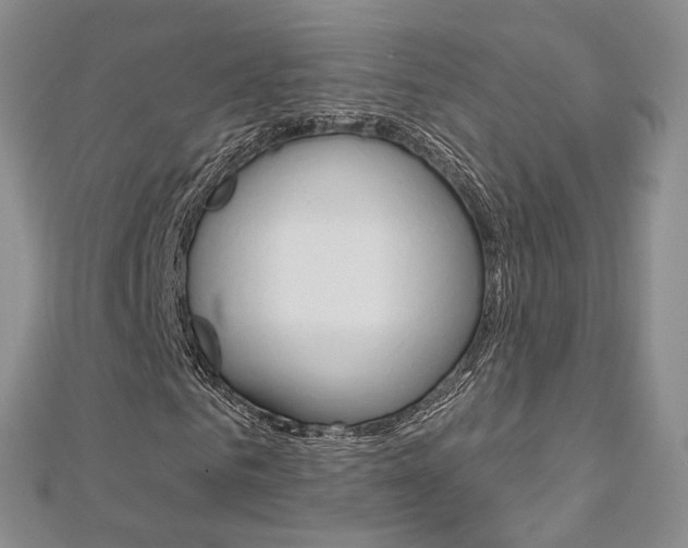 X0000113160961200909040949