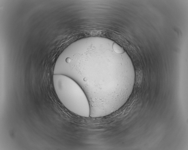 X0000113160962200909040949