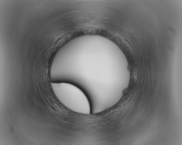 X0000113160964200909040949
