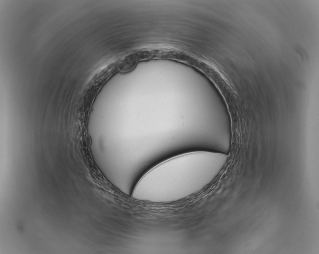X0000113160967200909040949