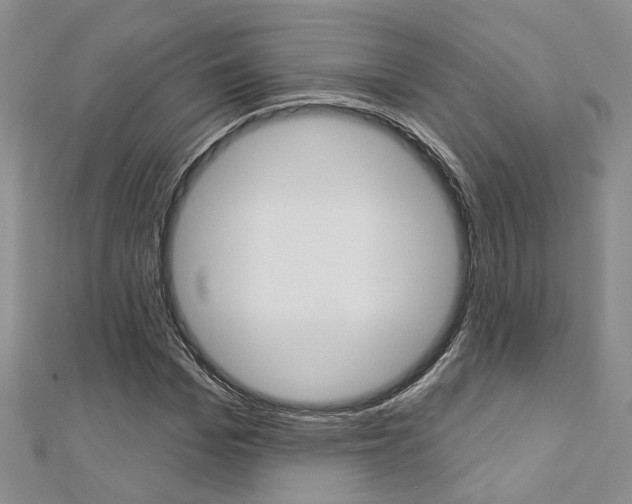 X0000113160969200909040949