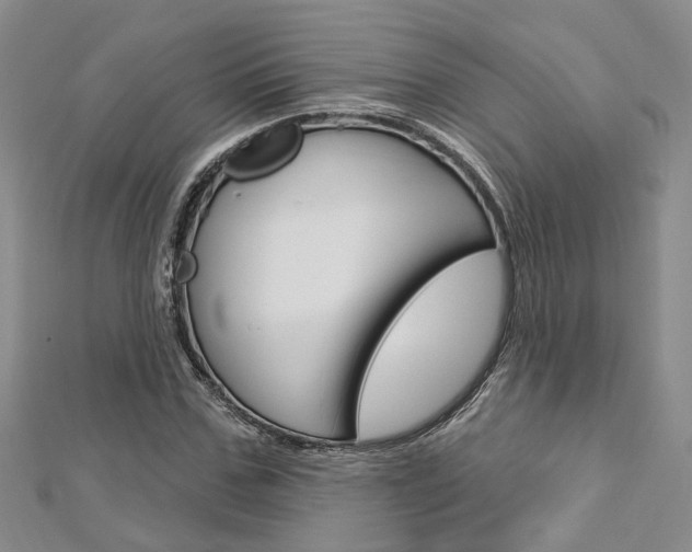 X0000113160971200909040949