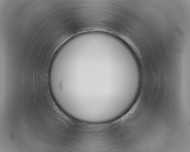 X0000113160977200909040949