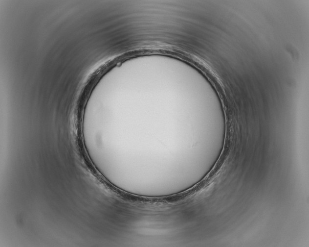 X0000113160979200909040949
