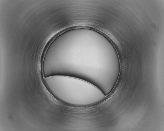 X0000113160980200909040949