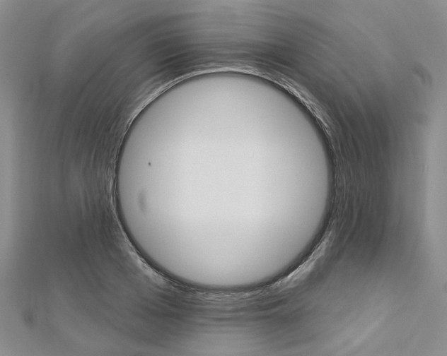 X0000113160985200909040949