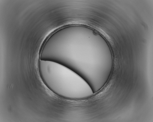 X0000113160988200909040949