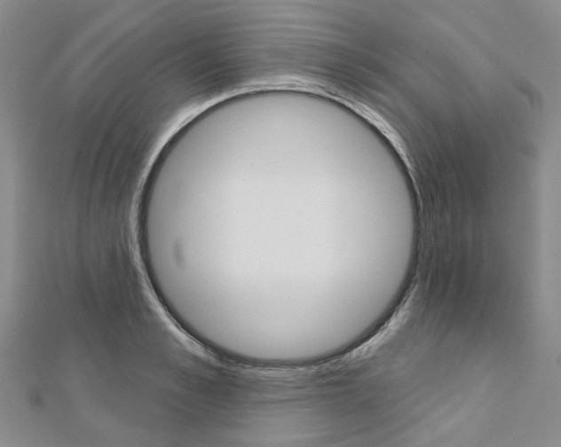 X0000113160989200909040949