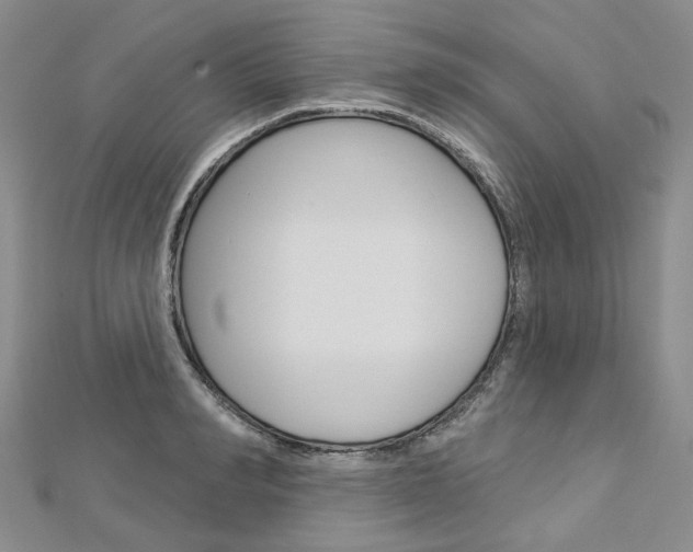 X0000113160990200909040949