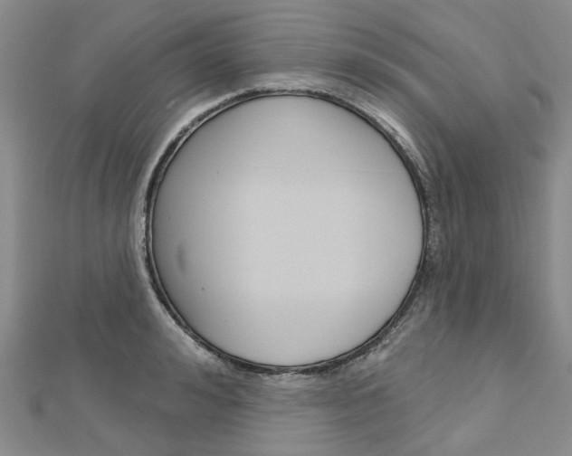 X0000113160992200909040949