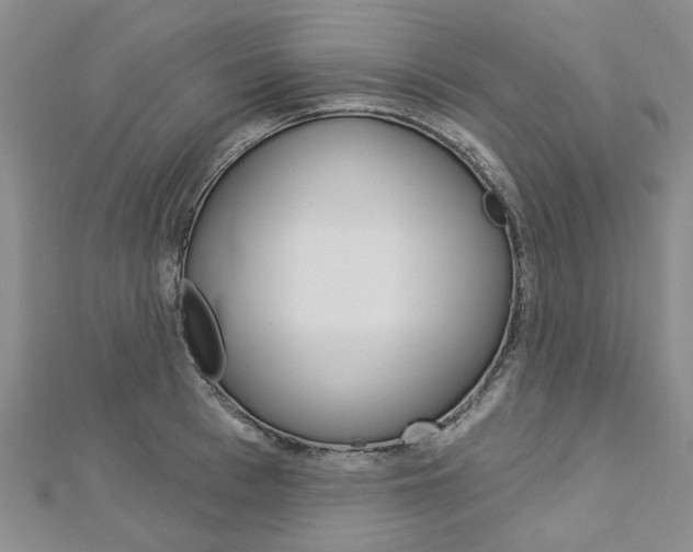 X0000113160993200909040949