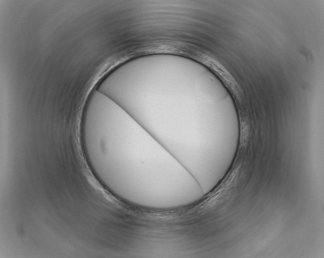 X0000113160994200909040949