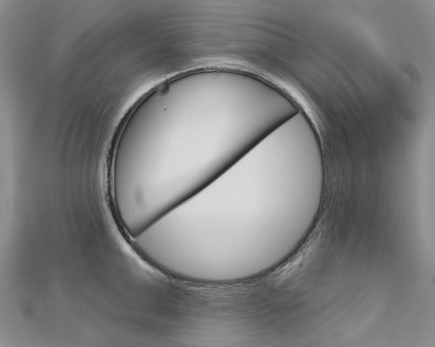 X0000113160999200909040949