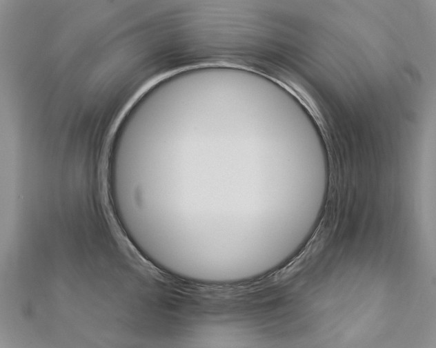 X0000113161000200909040949