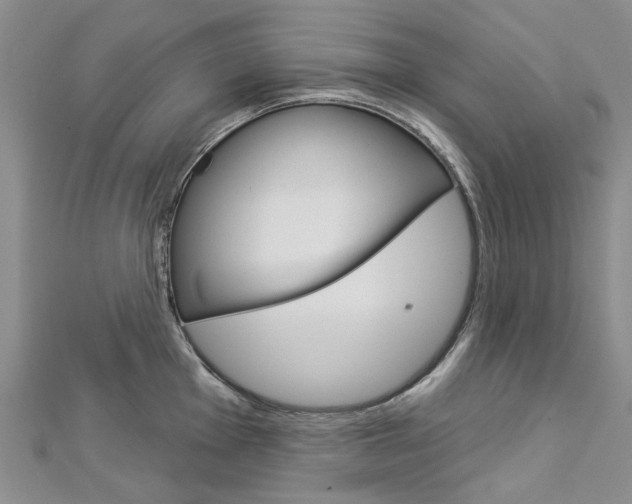 X0000113161001200909040949