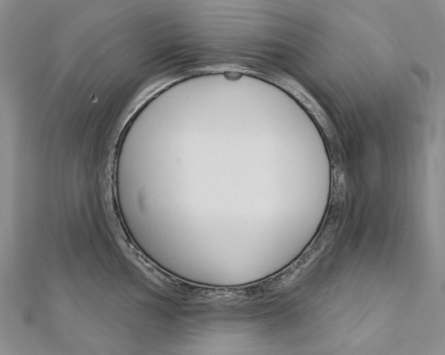 X0000113161002200909040949