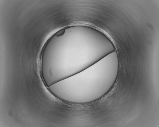X0000113161003200909040949