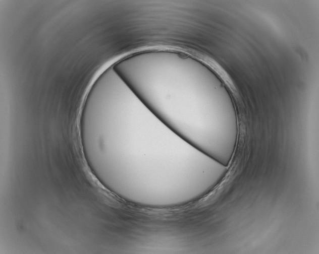 X0000113161004200909040949