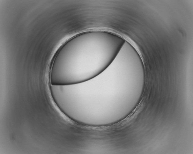 X0000113161005200909040949