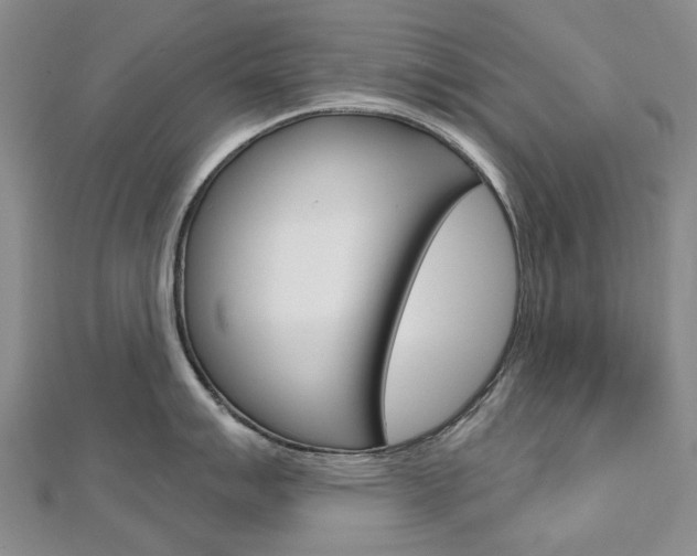 X0000113161007200909040949