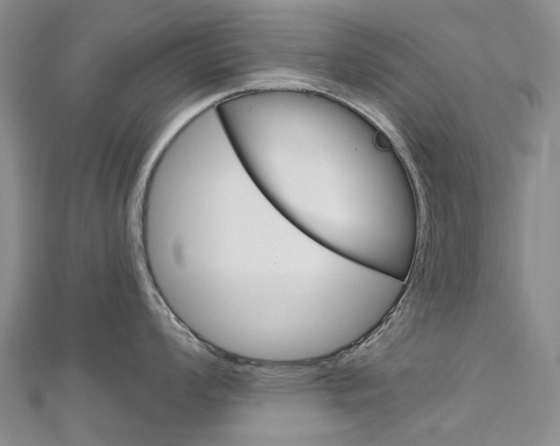 X0000113161008200909040949