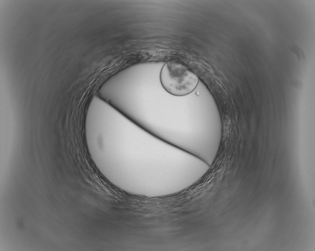 X0000113161009200909040948