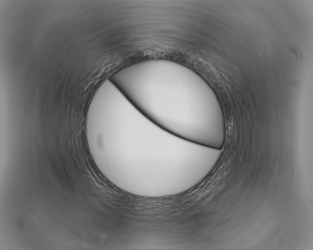 X0000113161012200909040948