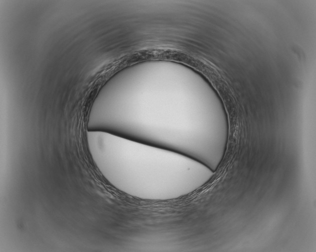 X0000113161014200909040948