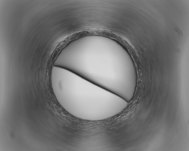 X0000113161016200909040948