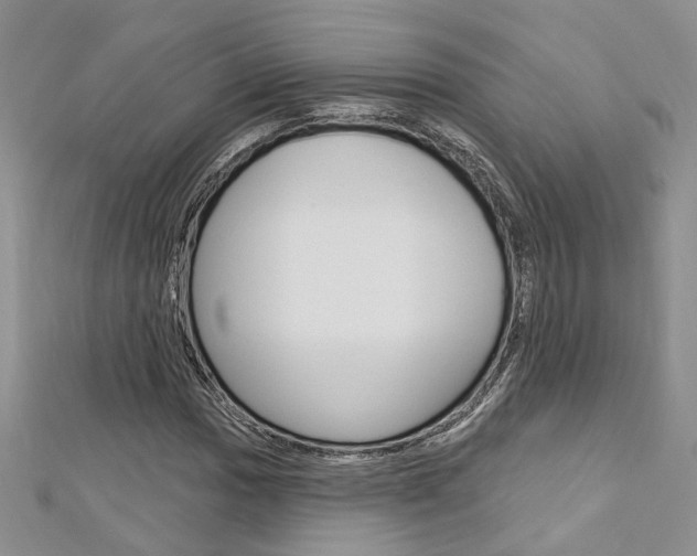 X0000113161017200909040948