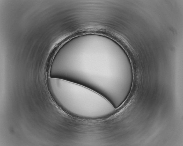X0000113161018200909040948