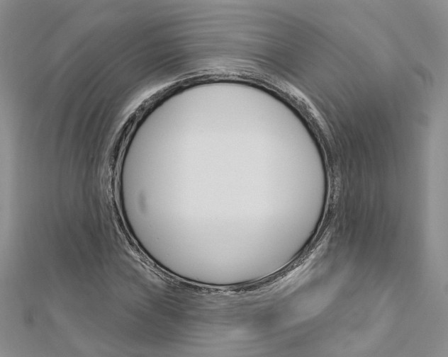 X0000113161019200909040948