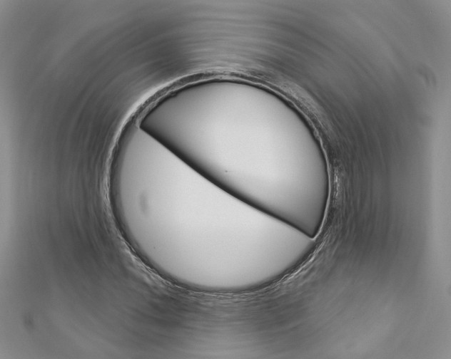 X0000113161020200909040948