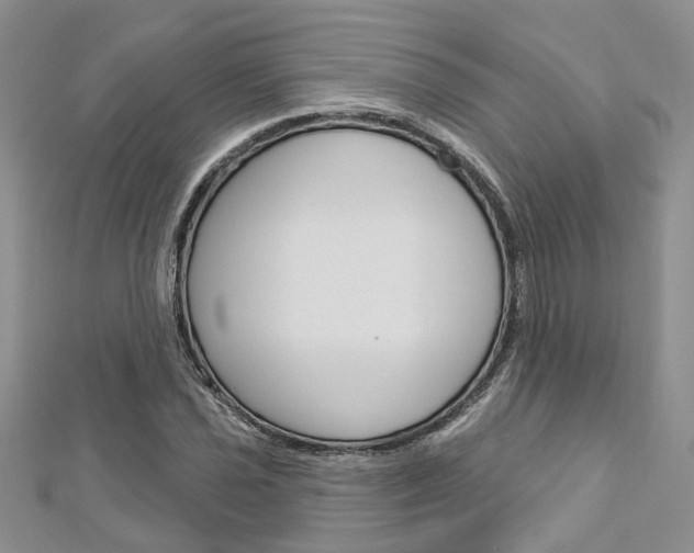 X0000113161021200909040948