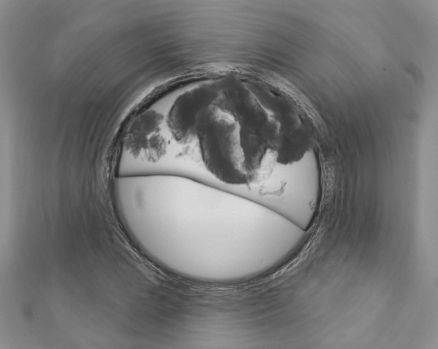X0000113161023200909040948