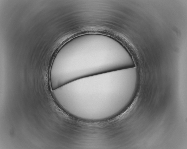 X0000113161025200909040948