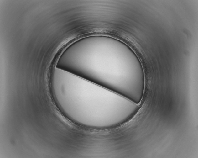 X0000113161026200909040948