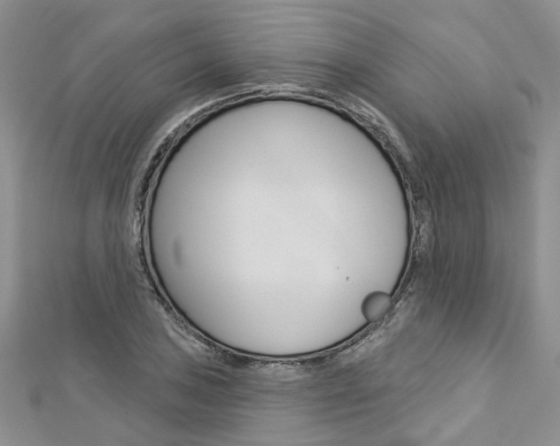 X0000113161027200909040948