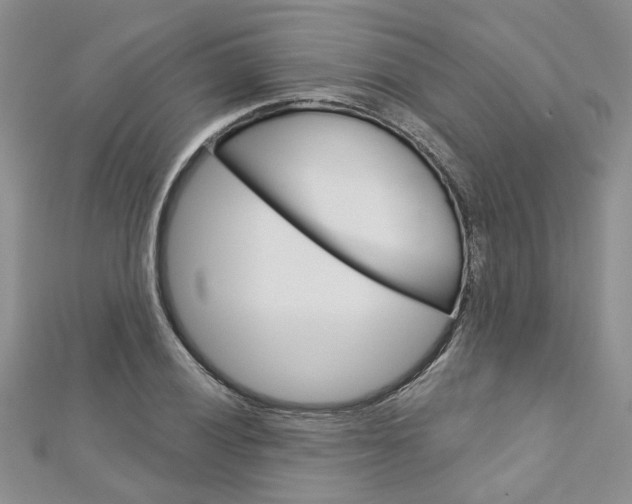 X0000113161028200909040948