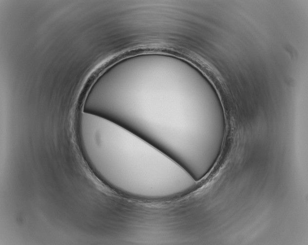 X0000113161029200909040948
