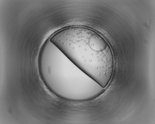 X0000113161030200909040948