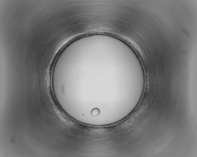 X0000113161031200909040948