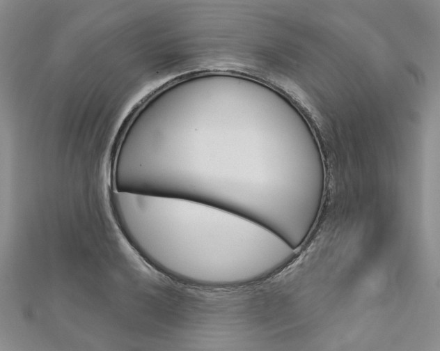 X0000113161032200909040948